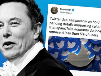 Why is Elon putting this twitter deal on hold
