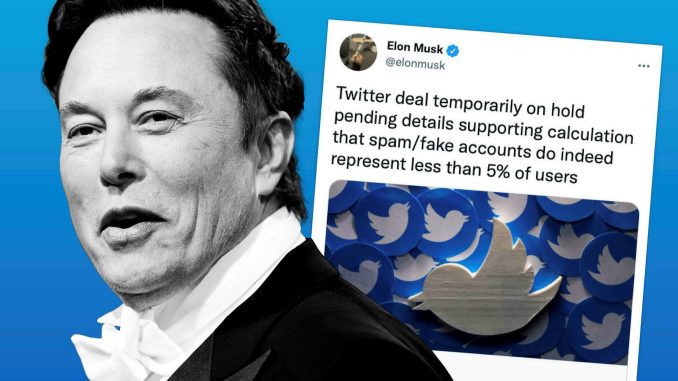 Why is Elon putting this twitter deal on hold