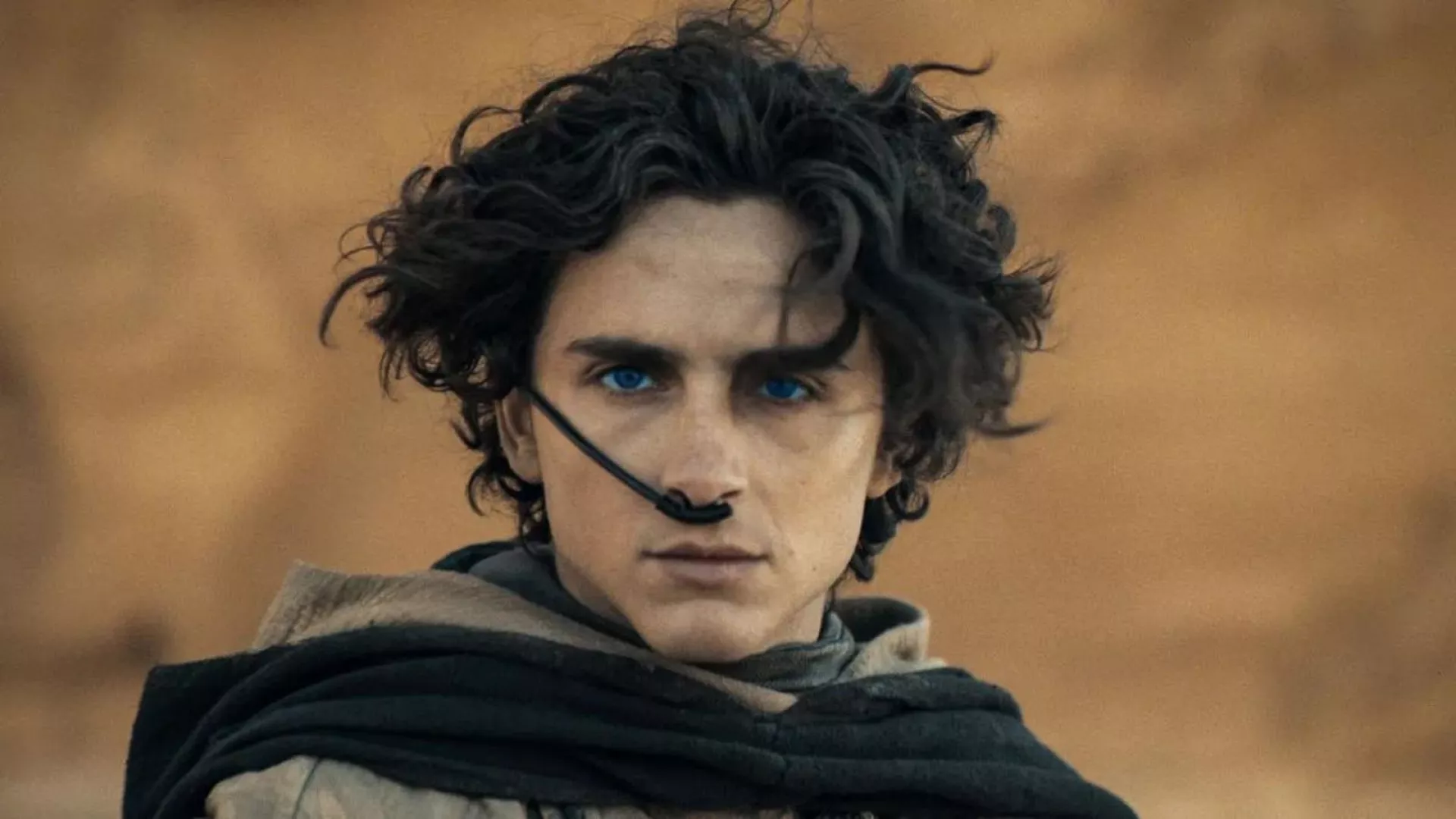 Dune: Part Two - The Sequel is now out