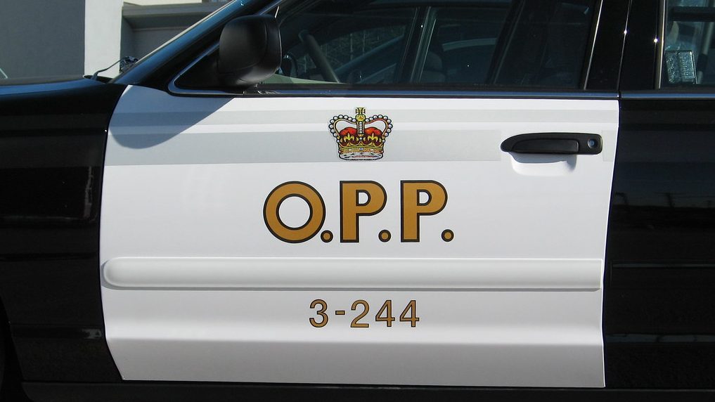 64 Arrested in Ontario's Major Child Sexual Exploitation Investigation