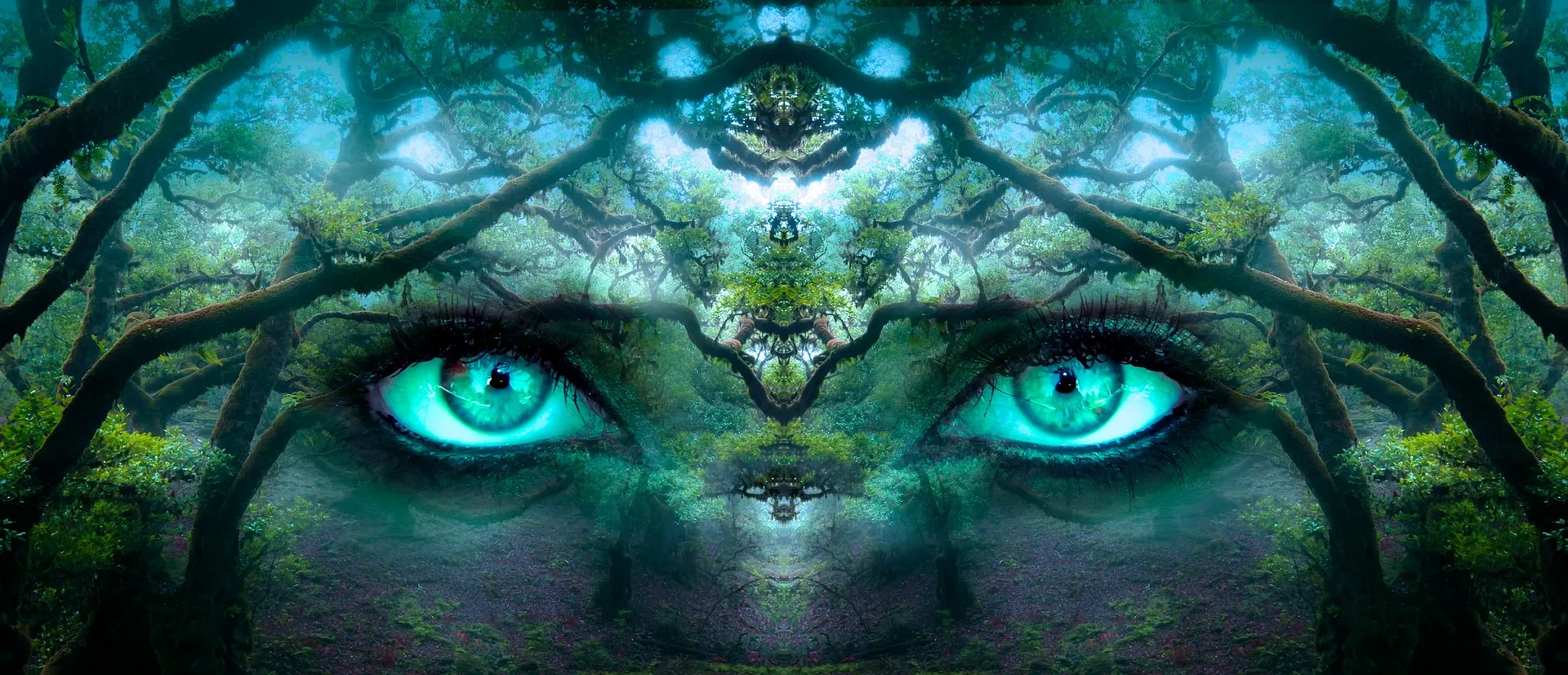 Nightmares and Hallucinations Early Warnings of Autoimmune Diseases