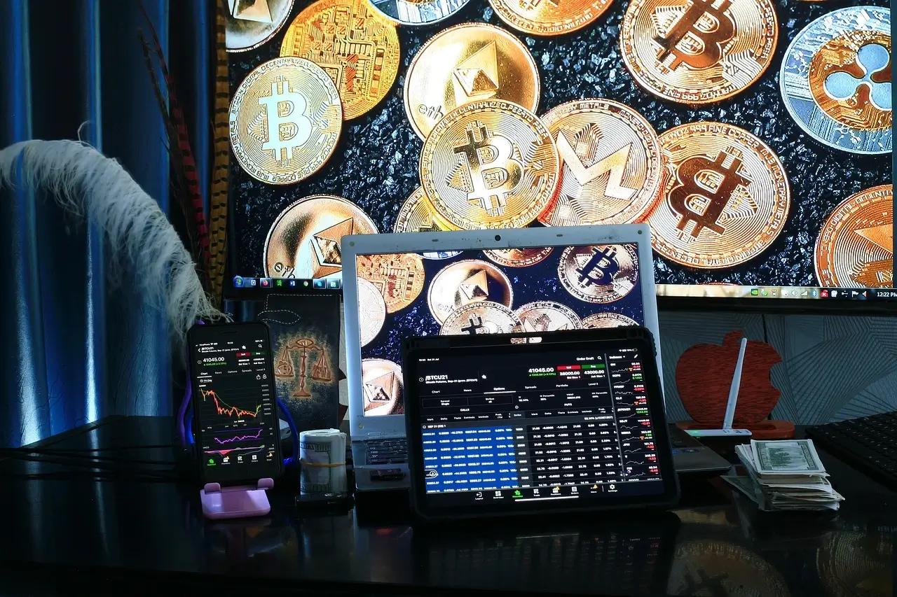 The Cryptocurrency Craze