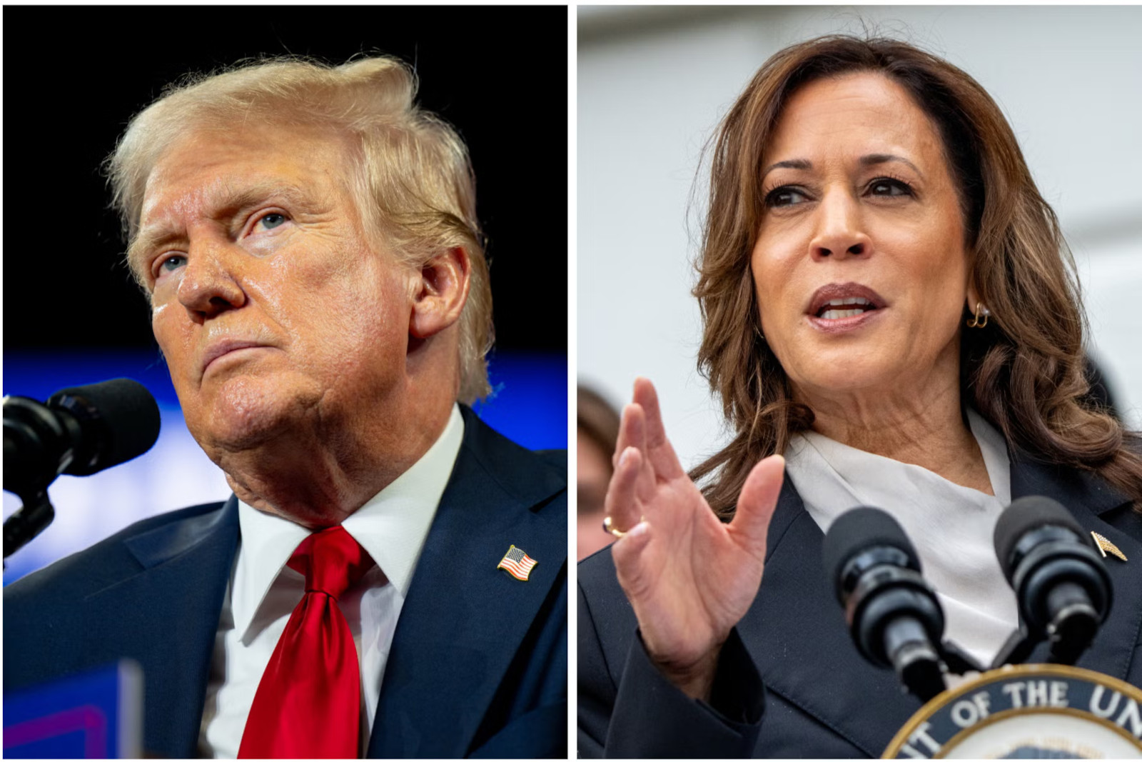 Donald Trump (pictured left) made the contentious remarks about Kamala Harris (pictured right) during an interview with Fox News